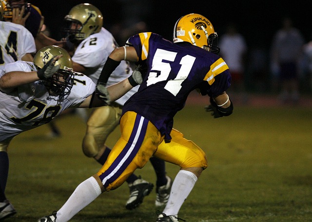 使运动员在 使运动员在