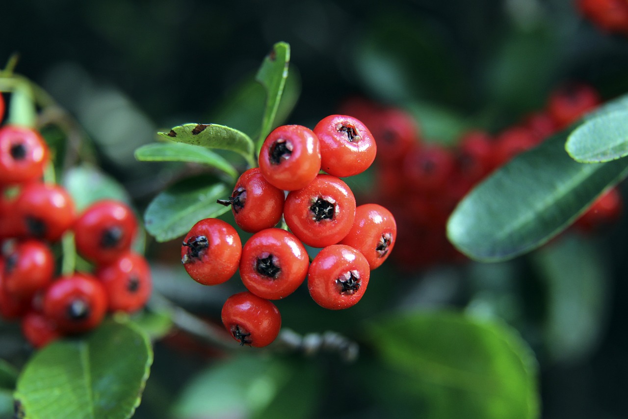 且技术精湛 且技术精湛