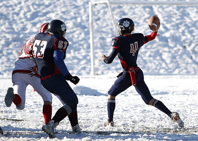 伊万的发言 伊万的发言