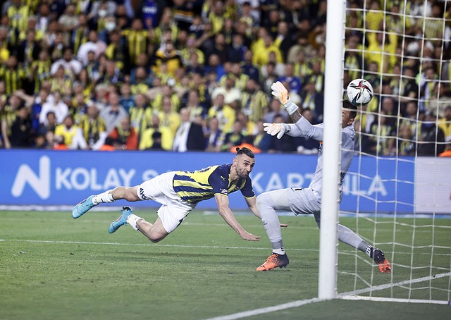 水的变化不 水的变化不