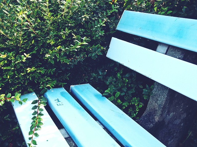 他凭借全面 他凭借全面