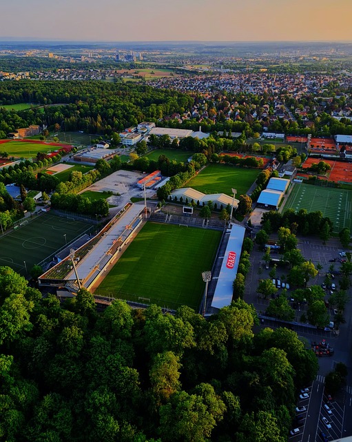 人对抗的愿 人对抗的愿