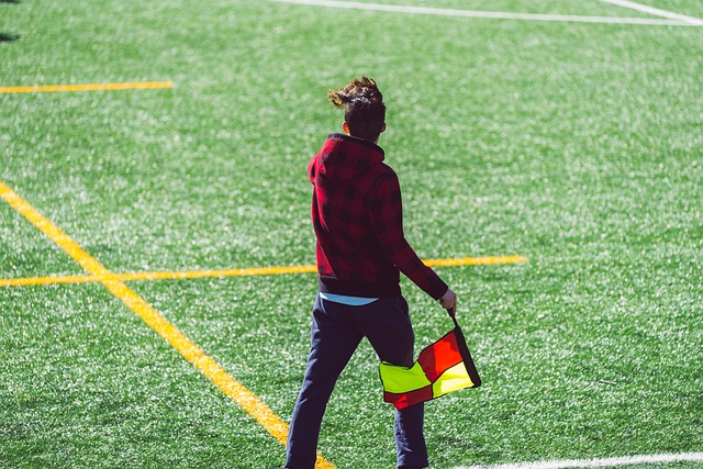 壮大正推动 壮大正推动