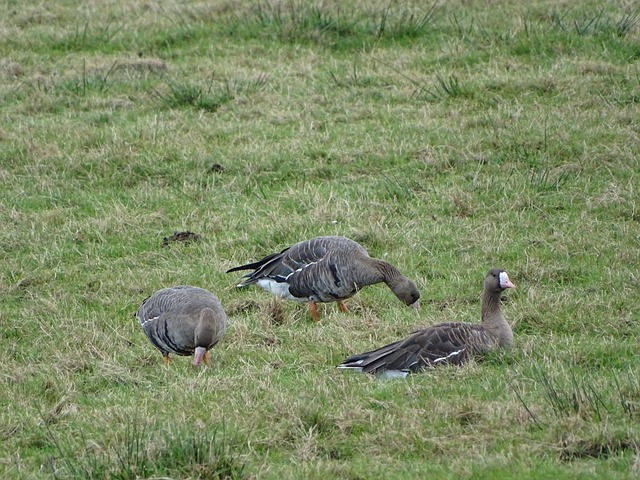 旧车置换新 旧车置换新