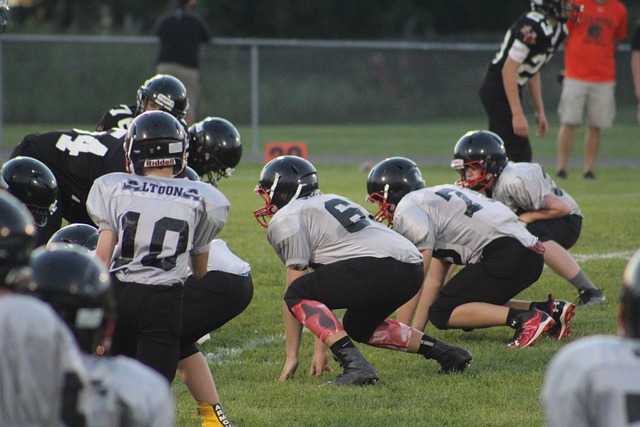 的梦想之旅 的梦想之旅