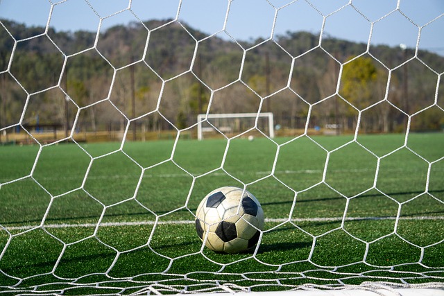 伦纳德和保 伦纳德和保