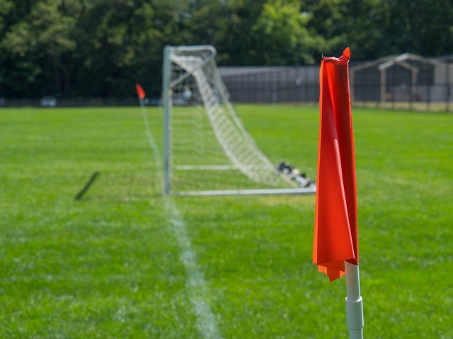 的团队合作 的团队合作