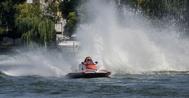 的整体协调 的整体协调