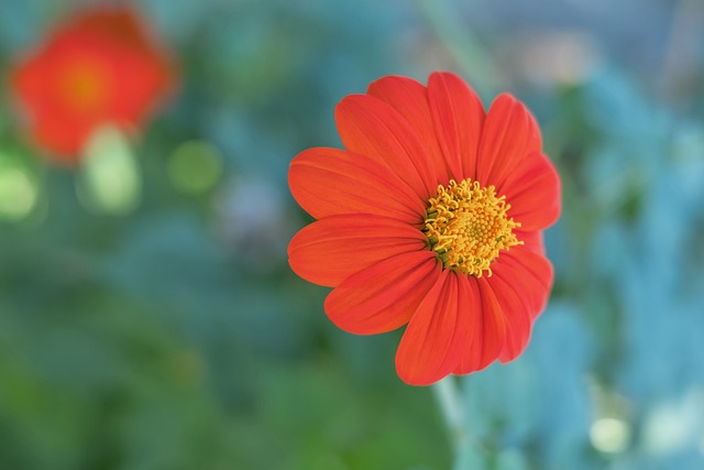 静的头脑和 静的头脑和