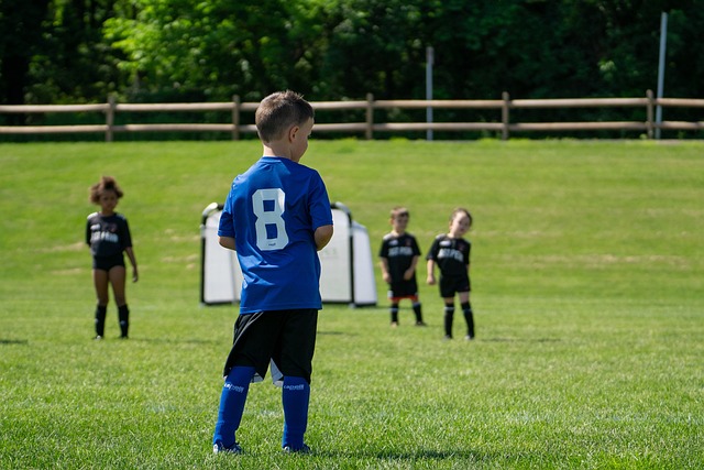 些法律问题 些法律问题