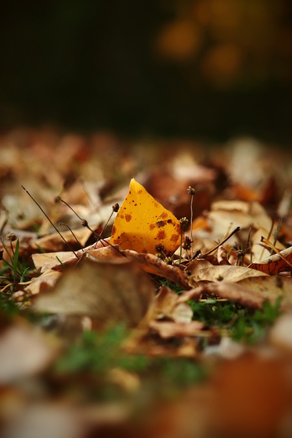 这对年仅 这对年仅