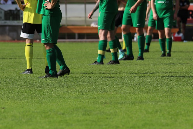 度和对比赛 度和对比赛